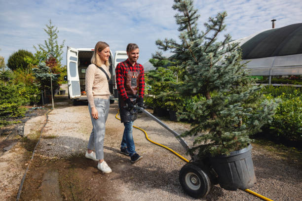 Best Lawn Grading and Leveling  in Aurora, NE